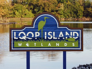 Loop Island Wetlands