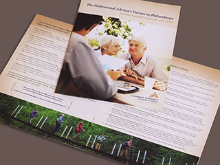 CFSI Advisor Brochures